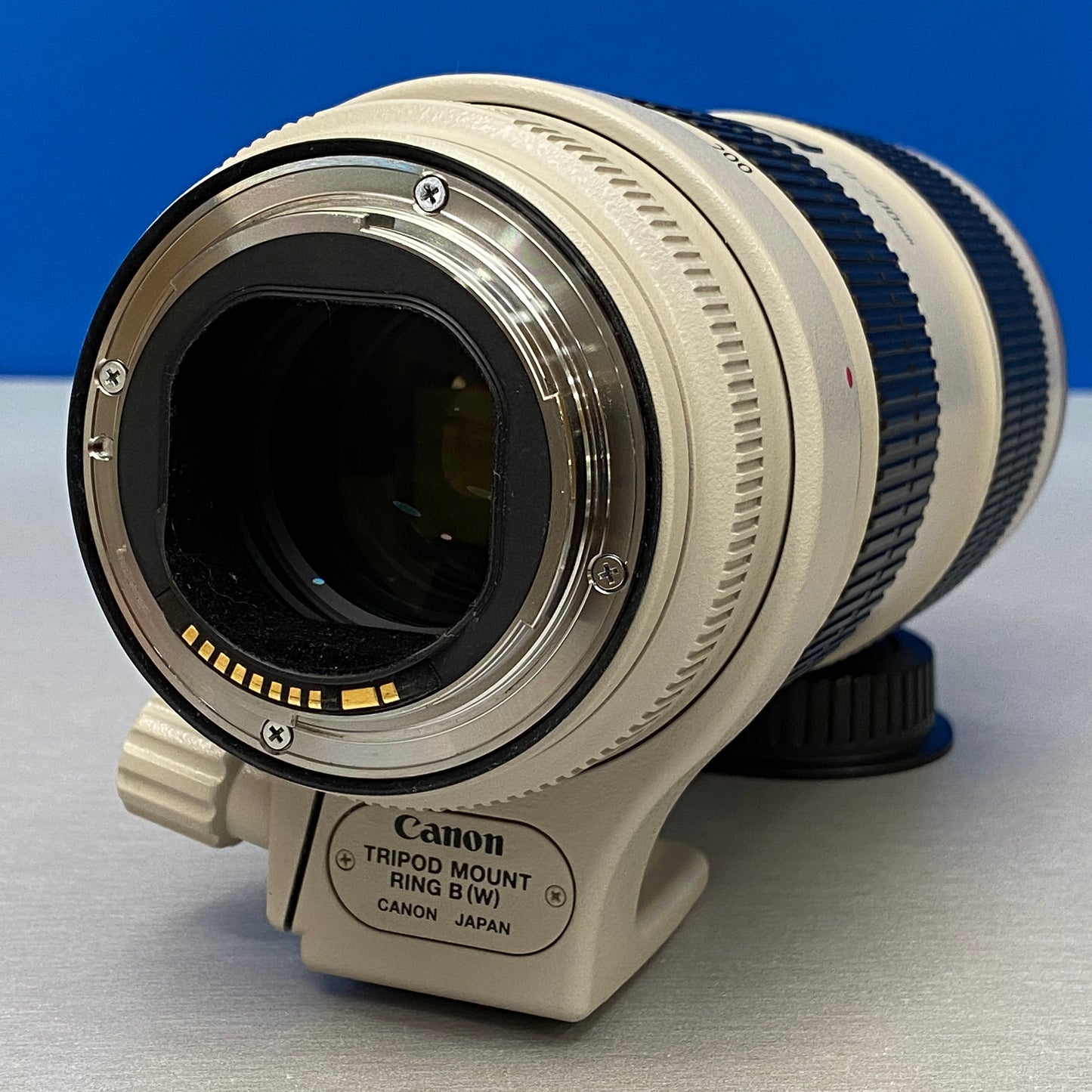 Canon EF 70-200mm f/2.8 L IS II USM