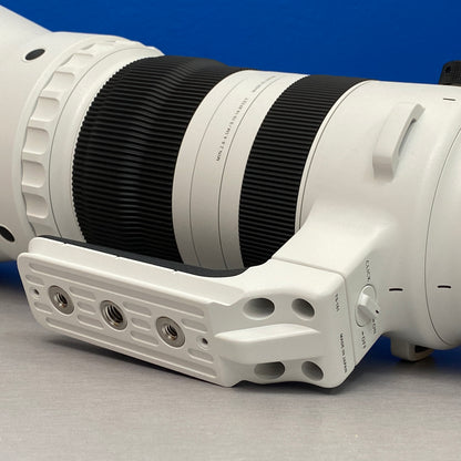 Sigma 300-600mm f/4 DG OS Sports | L-Mount | NOVA