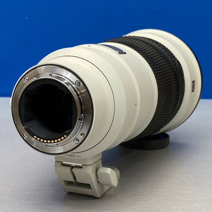 Sony FE 300mm f/2.8 GM OSS