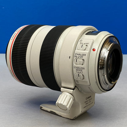 Canon EF 70-300mm f/4-5.6 L IS USM