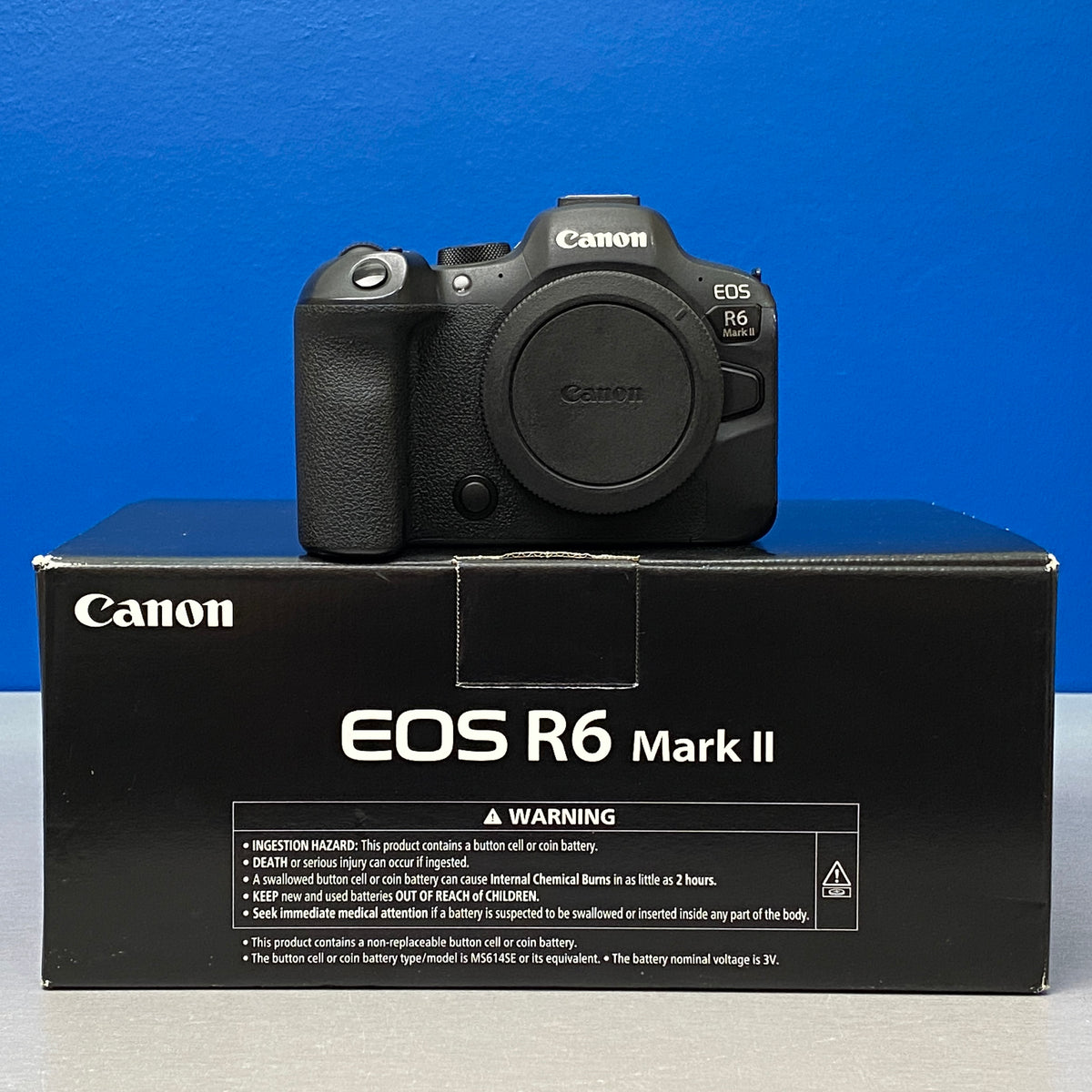 Canon EOS R6 Mark II (Corpo) - 24.2MP