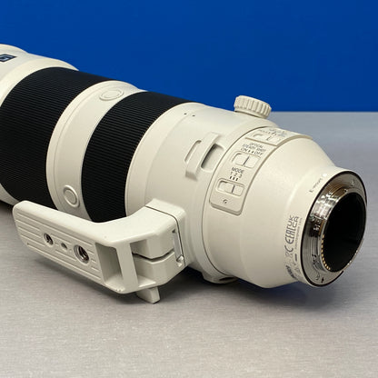 Sony FE 200-600mm f/5.6-6.3 G OSS