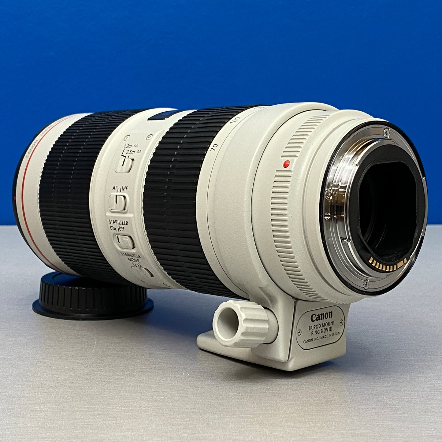 Canon EF 70-200mm f/2.8 L IS III USM