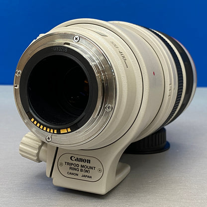 Canon EF 100-400mm f/4.5-5.6 L IS USM