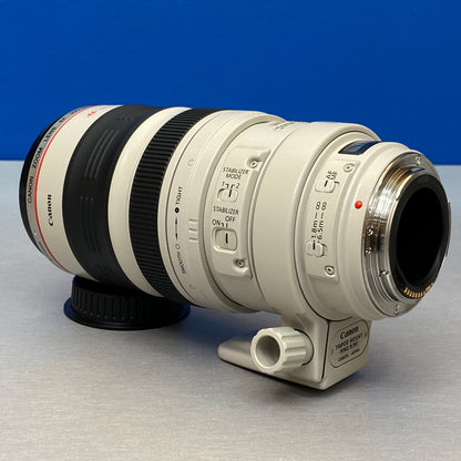 Canon EF 100-400mm f/4.5-5.6 L IS USM
