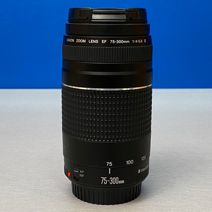 Canon EF 75-300mm f/4-5.6 III