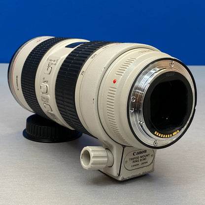 Canon EF 70-200mm f/2.8 L IS USM