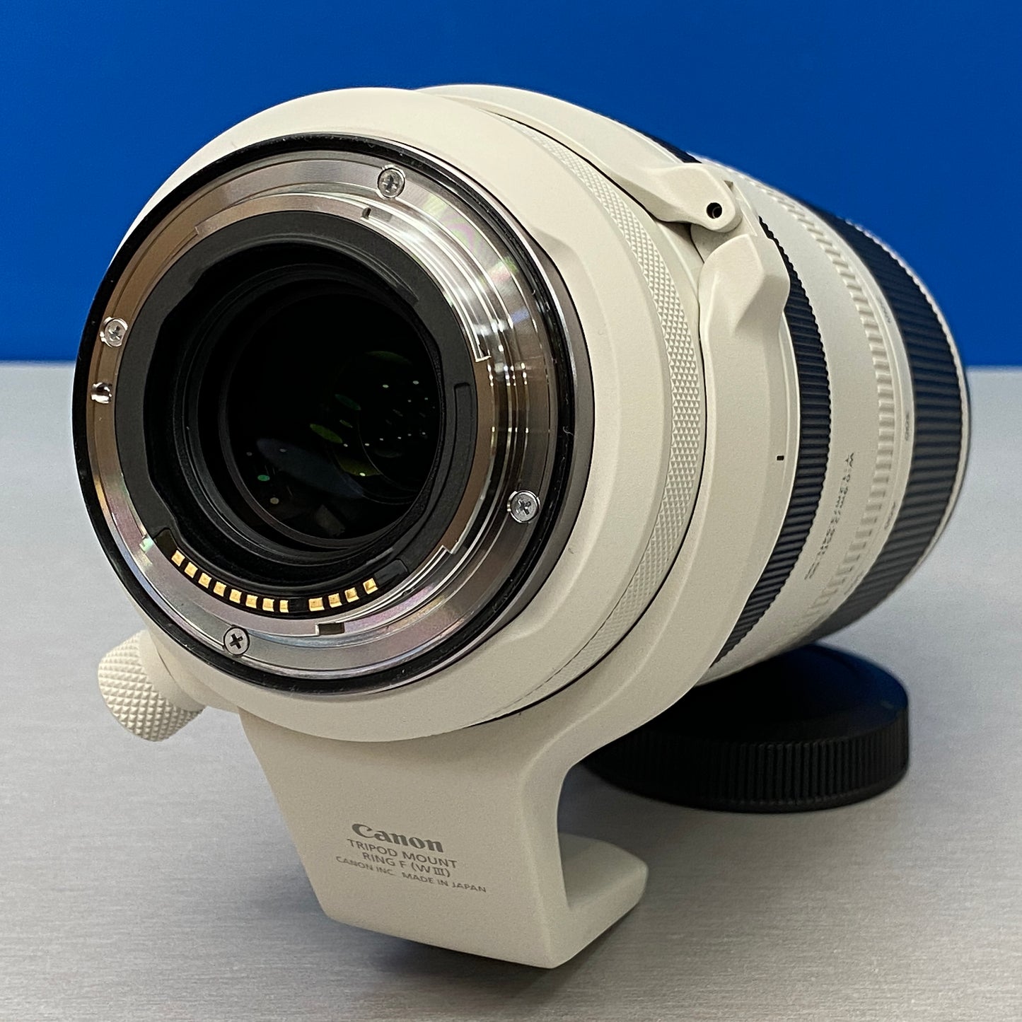 Canon RF 100-500mm f/4.5-7.1 L IS USM